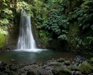 MICD_ATA_IMG_9503_Salto_do_Prego.jpg-1281705213-317-255