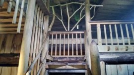 Lauteet kohoavat korkealle