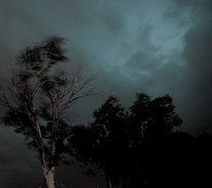 Kuva Flickr Dale Foshe