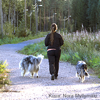 Kuva Riihimäen kaupunki
