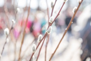 Kuva Riihimäen kaupunki