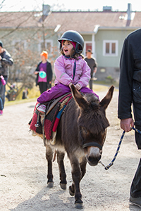 paasiainen_29_2014_pieni_pekka_hovi